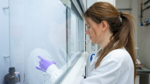 Innovative water repellent material to cut waste in the auto industry