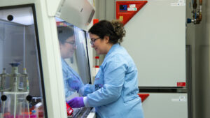 INL advances skin engineering with the European network NETSKINMODELS